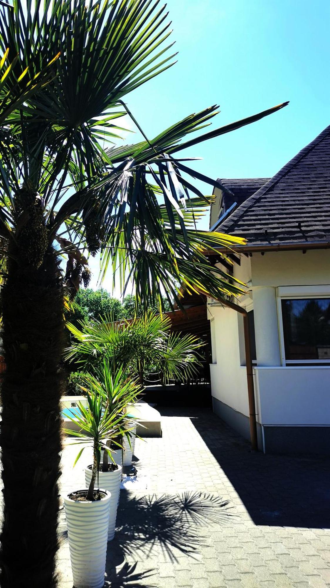 הוילה Balatonszárszó House4U מראה חיצוני תמונה